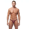 Gregg Homme Torridz Thong - Burgundy -Swimming Clothing 11933 80174.1652561641
