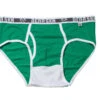 BEAR SKN Brief - Gooseberry Lights