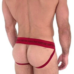 Nasty Pig Core Jockstrap - Red 7 Nasty Pig Core Jockstrap - Red -Swimming Clothing 51702 back 80272.1573685563