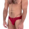 Nasty Pig Core Jockstrap - Red -Swimming Clothing 51702 side 27215.1573685559