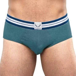 BlueBuck - Classic Organic Cotton Brief - Hydro Green