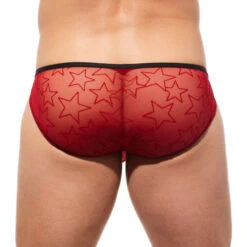Gregg Homme - Starr Brief - Red -Swimming Clothing 62467 B 19582.1686700432