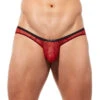 Gregg Homme - Starr Brief - Red -Swimming Clothing 62467 F 60051.1686700429