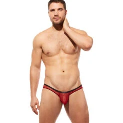 Gregg Homme - Starr Brief - Red -Swimming Clothing 62467 LS 41115.1686700434