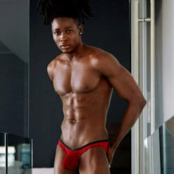 Gregg Homme - Starr Thong - Red -Swimming Clothing 62471 LS 01780.1677790365