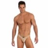 Gregg Homme Virgin Brief -Swimming Clothing 6371 57506.1652561628
