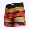 Stance – Feel 360 Boxer Briefs W/ Wholester - Faux Real Multi -Swimming Clothing 64523 F 95067.1664927648