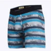 Stance – Feel 360 Boxer Briefs W/ Wholester - Loop Trooper Blue -Swimming Clothing 64529 F 58346.1664927587