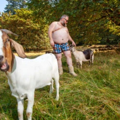 BEAR SKN - Bamboo Boxer Brief - Autumn Backwoods -Swimming Clothing 67066 LS 52402.1670551360