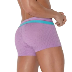 CODE 22 - Bright Mesh Trunk - Grape -Swimming Clothing 68613 B 37142.1683678365