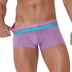 CODE 22 - Bright Mesh Trunk - Grape -Swimming Clothing 68613 F2 75587.1683678366