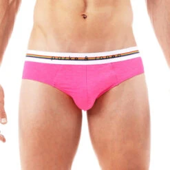 Park & Ronen - Pride Low Rise Mesh Brief - Heather Pink -Swimming Clothing 70332 F 89465.1684969105