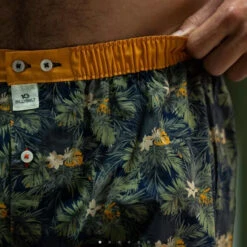 Billybelt - Organic Cotton Boxer Brief - Canopy -Swimming Clothing 70379 D 34714.1686764701