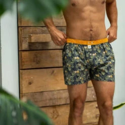 Billybelt - Organic Cotton Boxer Brief - Canopy -Swimming Clothing 70379 LS 61872.1686764707