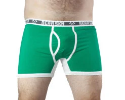 BEAR SKN Trunk - Gooseberry Lights -Swimming Clothing Bear Skn 63469 Green Trunk underU4men2 84471.1646175608