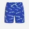Cannonball Volley 17" -Swimming Clothing MBS0011510 NEPTUNE 01 18aee6d9 58d1 4814 8f27 a5ef01bf86c9