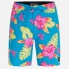 Weekender 20" Boardshort -Swimming Clothing MBS0011540 ARCTIC NEON 1
