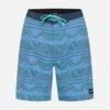 Weekender Boardshort 20" -Swimming Clothing MBS0011540 THUNDER BERRY 1